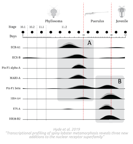 Dataset figure