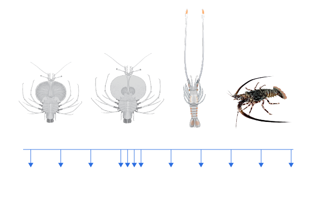 Sampling figure